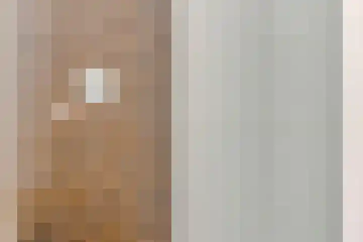 Grote Kerk 11 K Vlijmen thumbnail 20