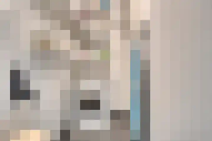 Grote Kerk 11 K Vlijmen thumbnail 21