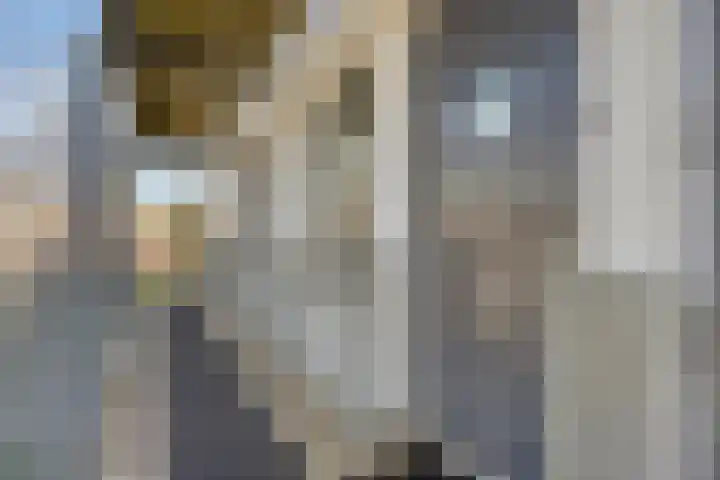 Grote Kerk 11 K Vlijmen thumbnail 8