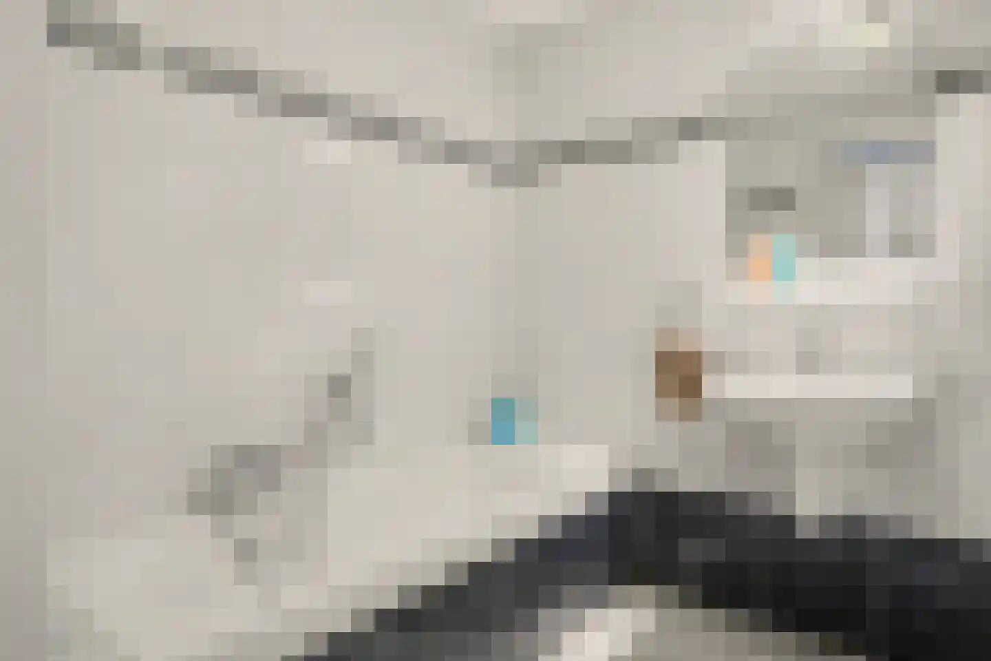 Grote Kerk 44 Vlijmen thumbnail 18