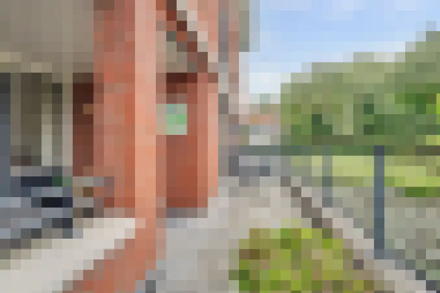 Grote Kerk 44 Vlijmen thumbnail 20