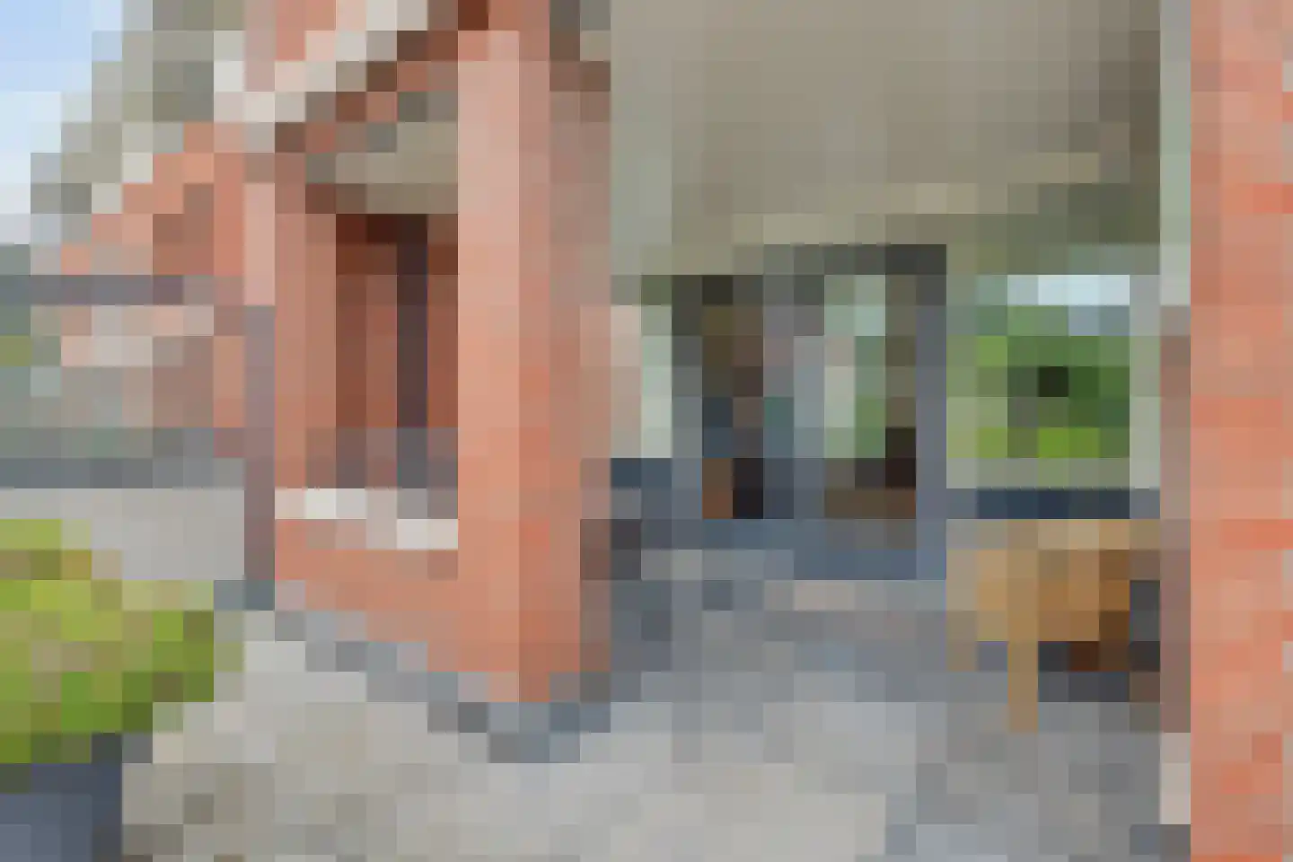 Grote Kerk 44 Vlijmen thumbnail 21