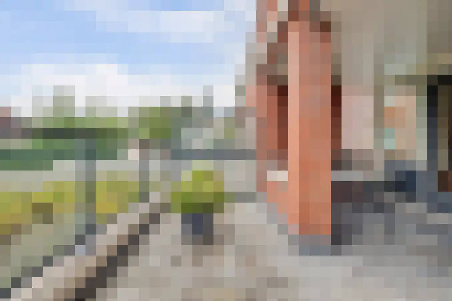 Grote Kerk 44 Vlijmen thumbnail 24