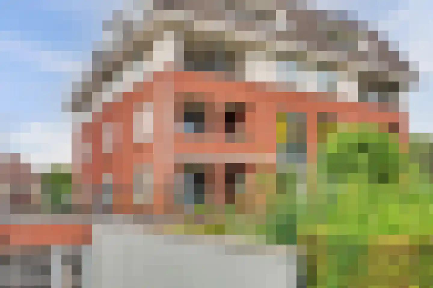 Grote Kerk 44 Vlijmen thumbnail 32