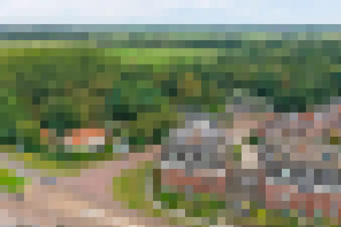 Grote Kerk 44 Vlijmen thumbnail 34