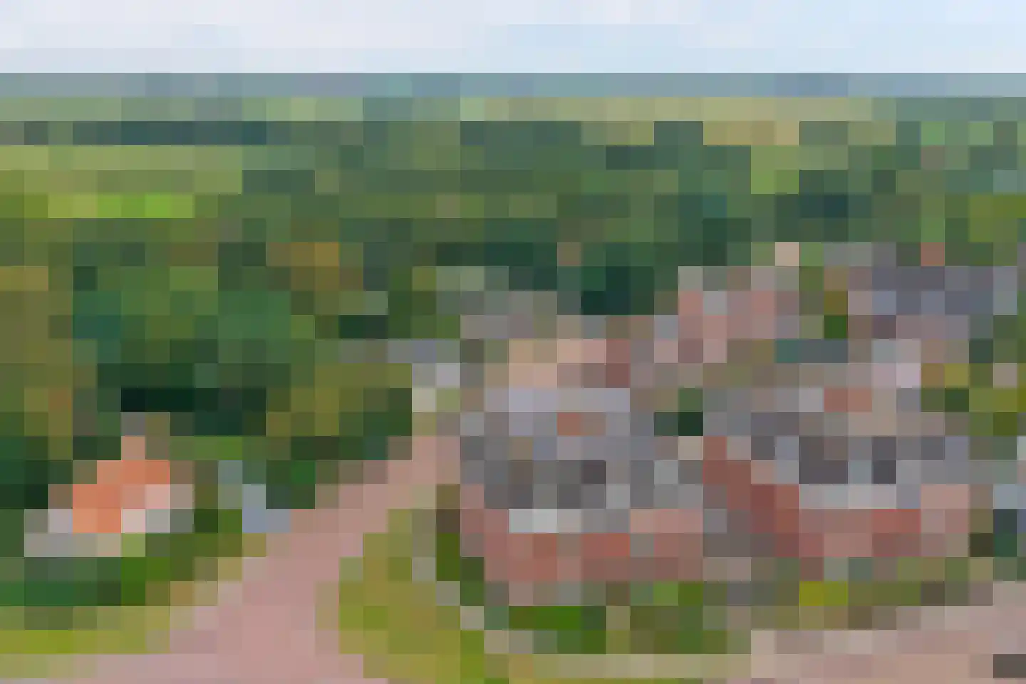 Grote Kerk 44 Vlijmen thumbnail 35