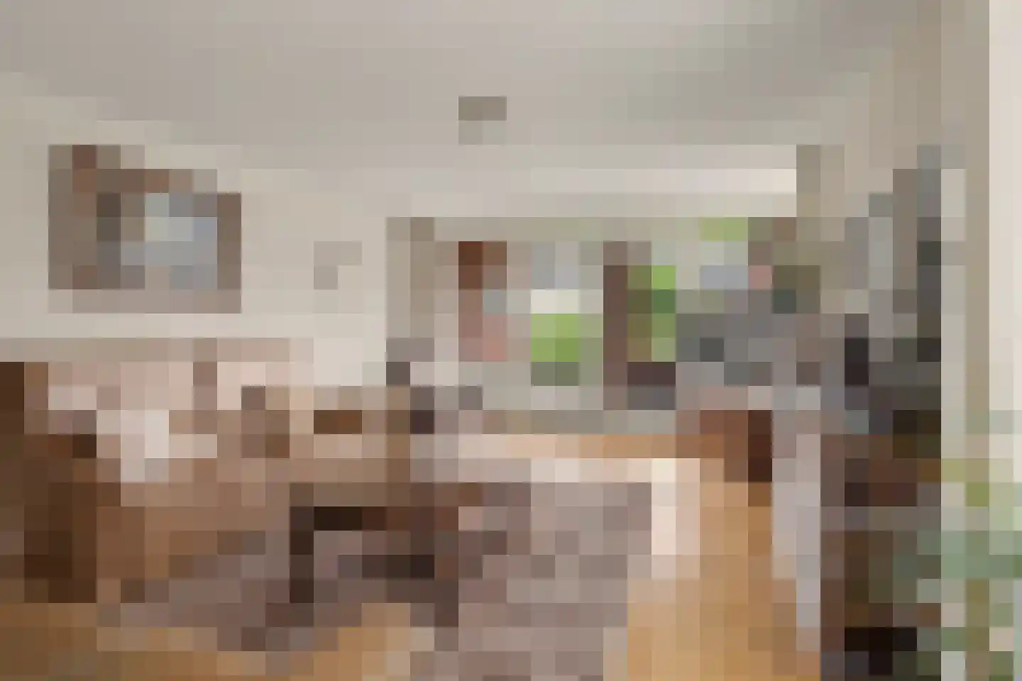 Grote Kerk 44 Vlijmen thumbnail 4