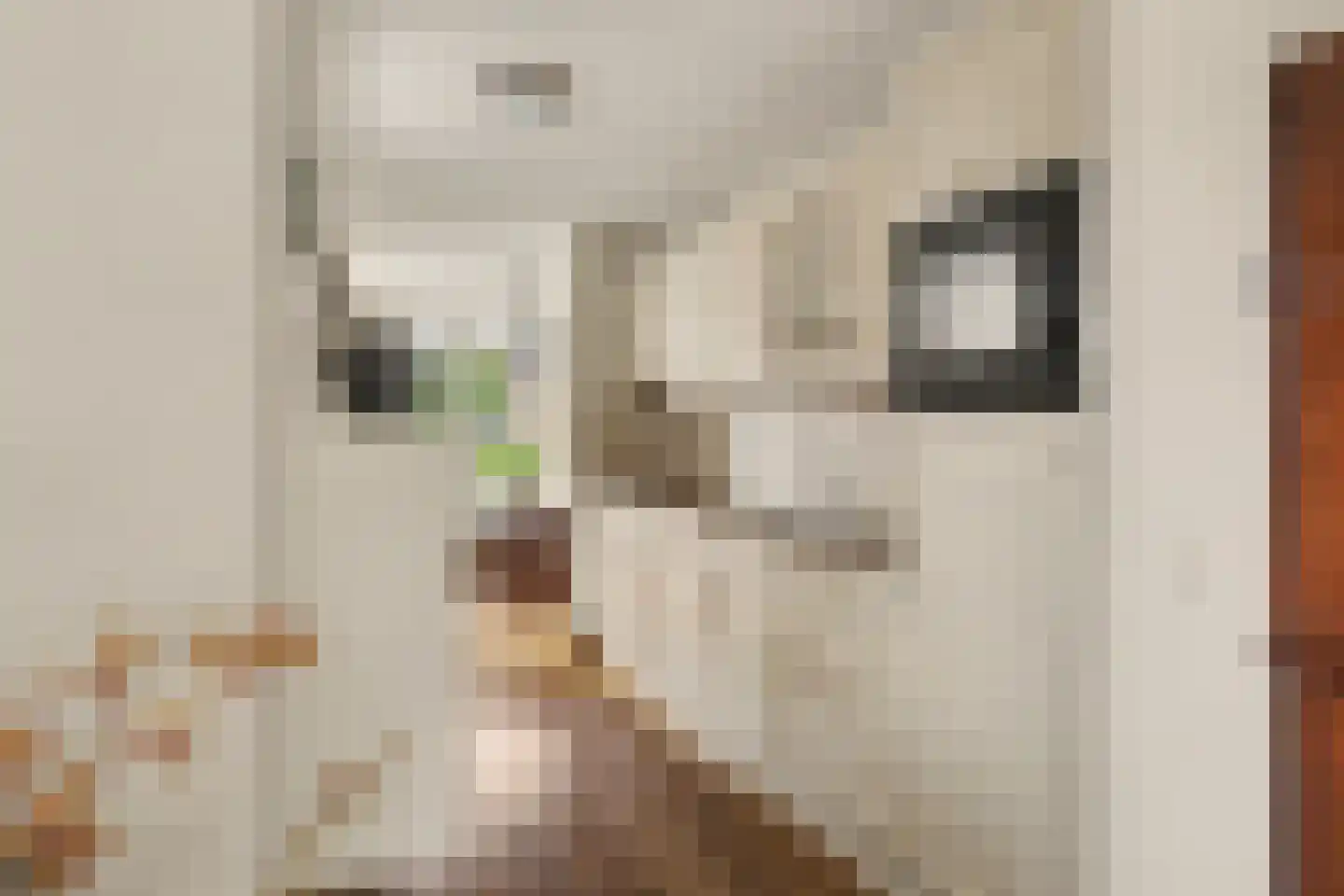 Grote Kerk 44 Vlijmen thumbnail 7