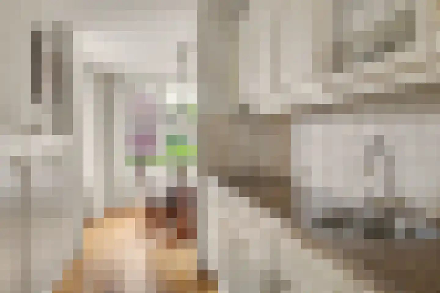 Grote Kerk 44 Vlijmen thumbnail 8