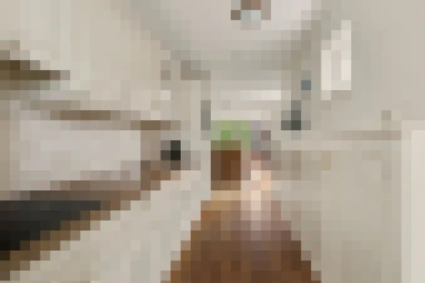 Grote Kerk 44 Vlijmen thumbnail 9