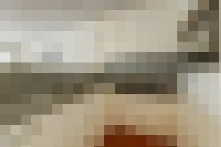 Grote Kerk 6 Vlijmen thumbnail 10