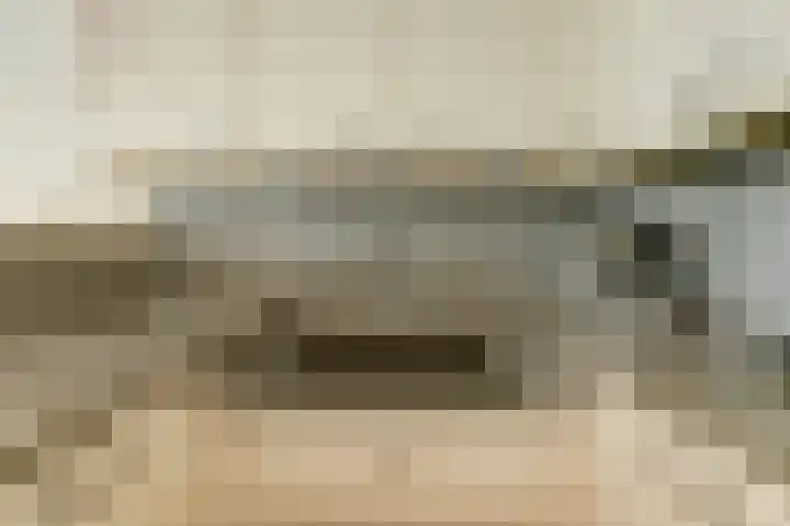 Grote Kerk 6 Vlijmen thumbnail 11