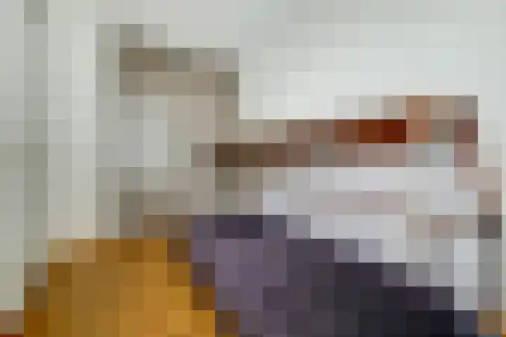 Grote Kerk 6 Vlijmen thumbnail 19