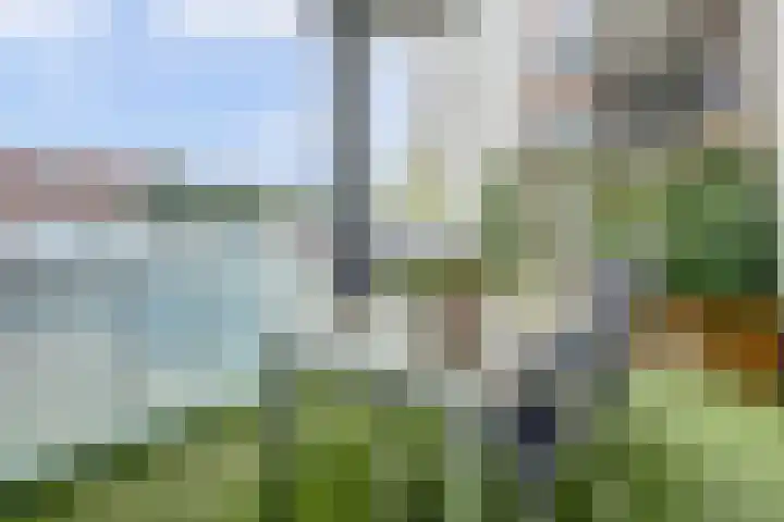 Grote Kerk 6 Vlijmen thumbnail 23