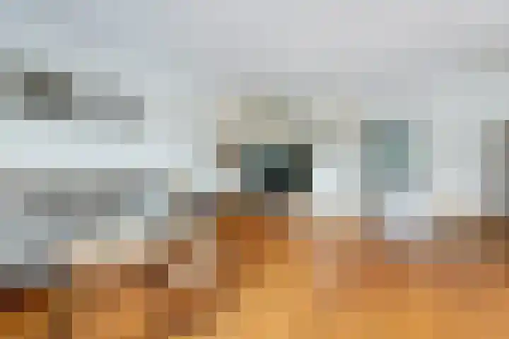 Grote Kerk 6 Vlijmen thumbnail 5
