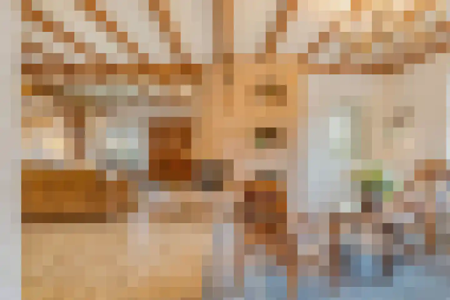 Grote Kerkepad 33 Veldhoven thumbnail 10
