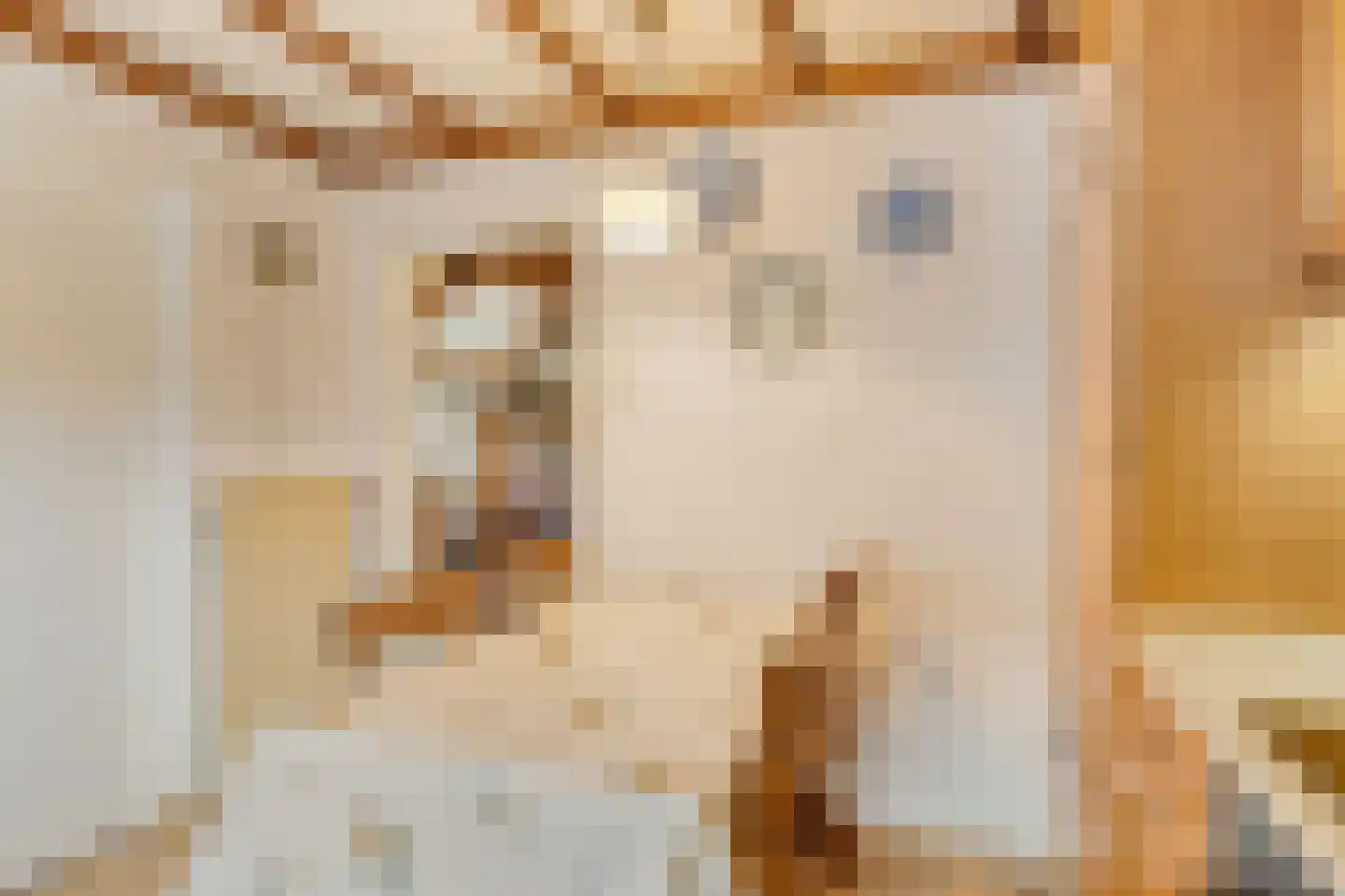 Grote Kerkepad 33 Veldhoven thumbnail 14