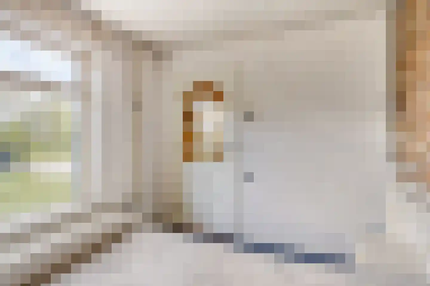 Grote Kerkepad 33 Veldhoven thumbnail 15