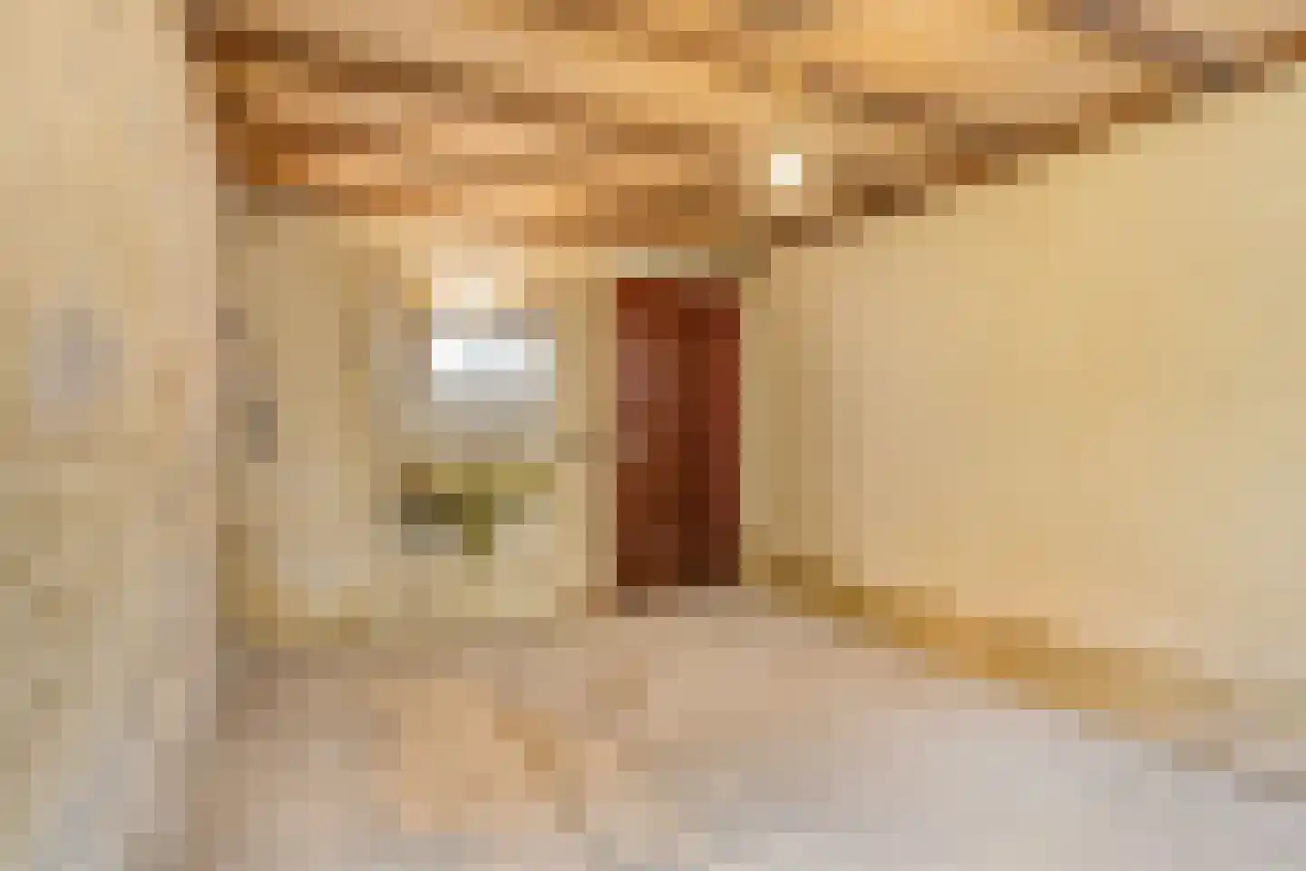 Grote Kerkepad 33 Veldhoven thumbnail 20