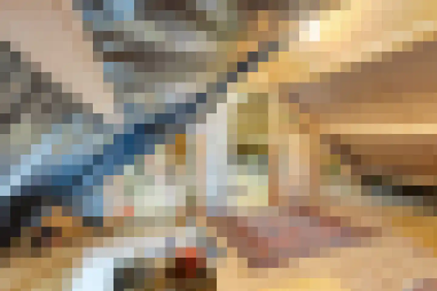Grote Kerkepad 33 Veldhoven thumbnail 25