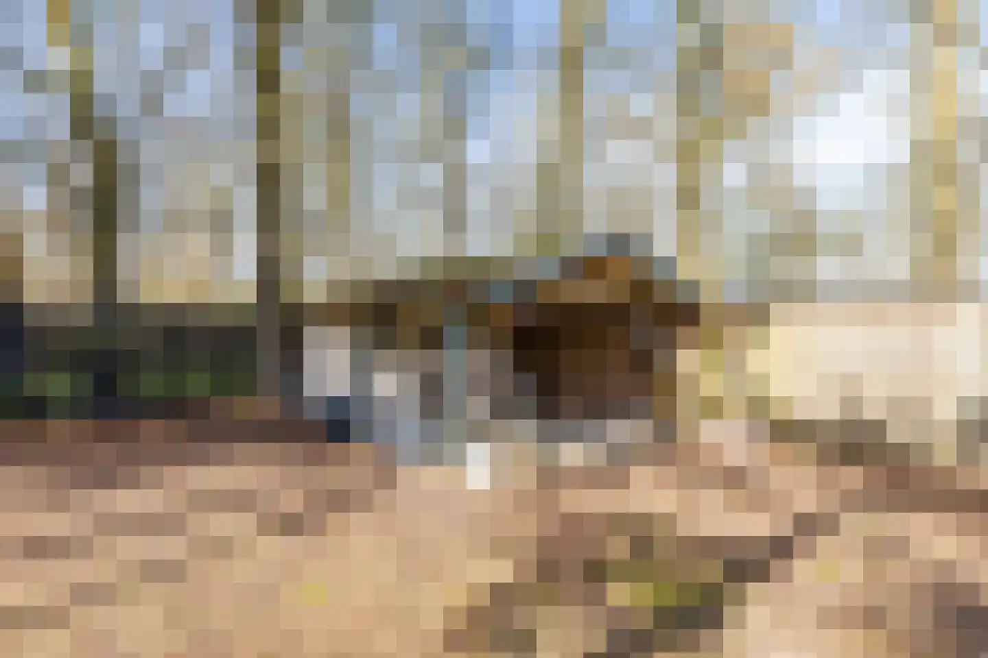 Grote Kerkepad 33 Veldhoven thumbnail 29