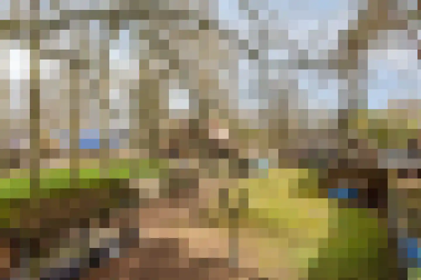 Grote Kerkepad 33 Veldhoven thumbnail 33