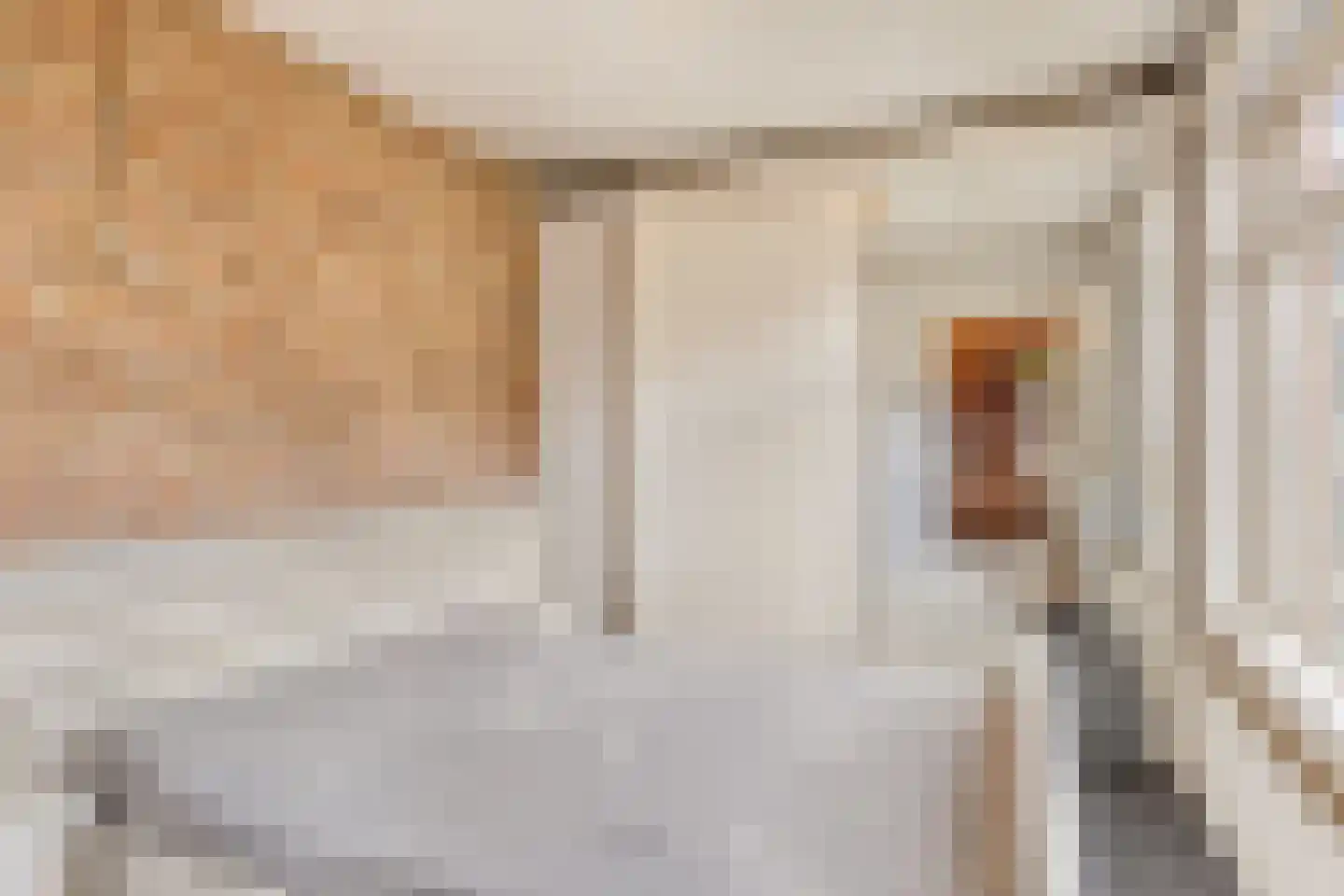 Grote Kerkepad 33 Veldhoven thumbnail 4