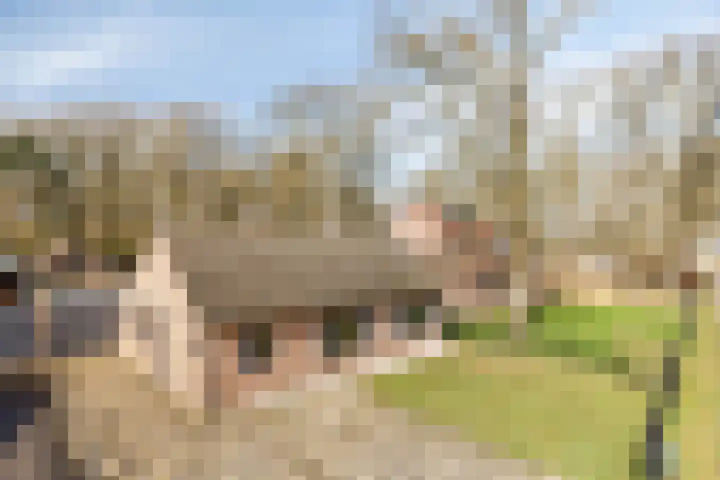 Grote Kerkepad 33 Veldhoven thumbnail 41