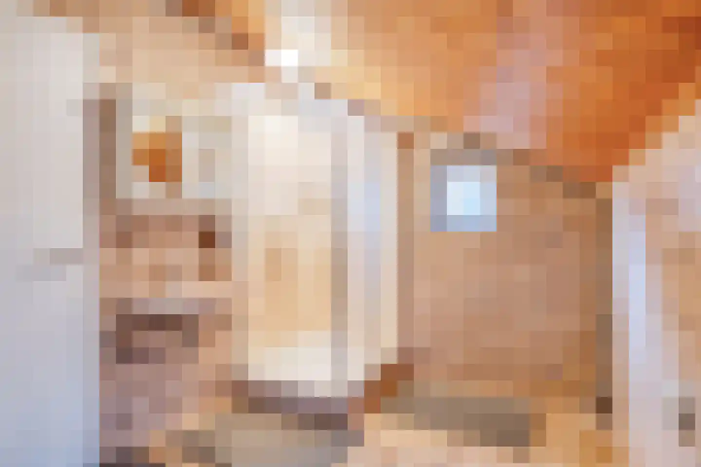 Grote Kerkepad 33 Veldhoven thumbnail 5