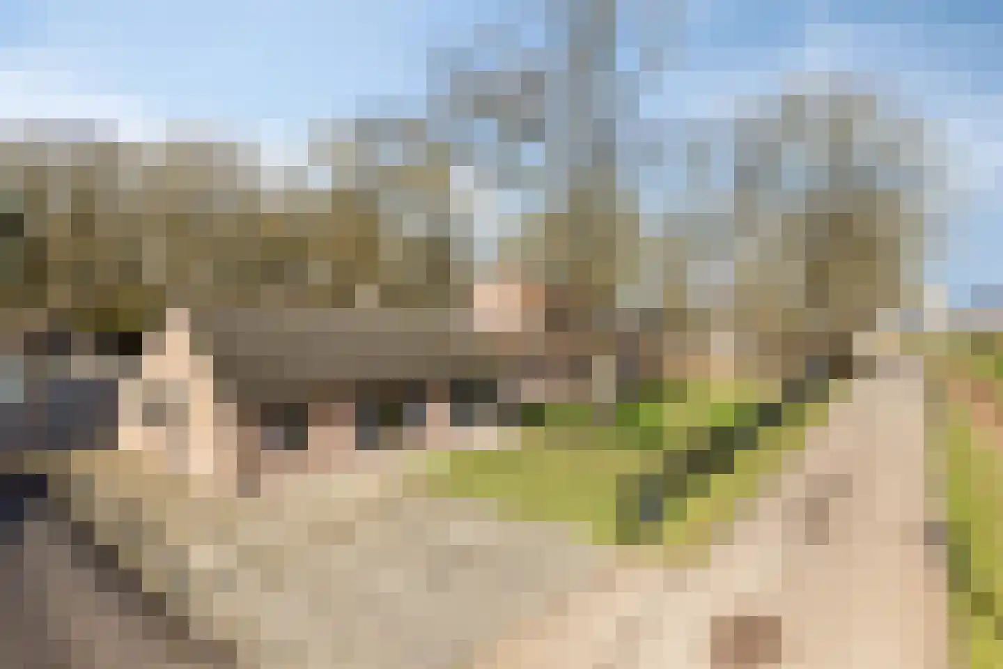 Grote Kerkepad 33 Veldhoven thumbnail 7