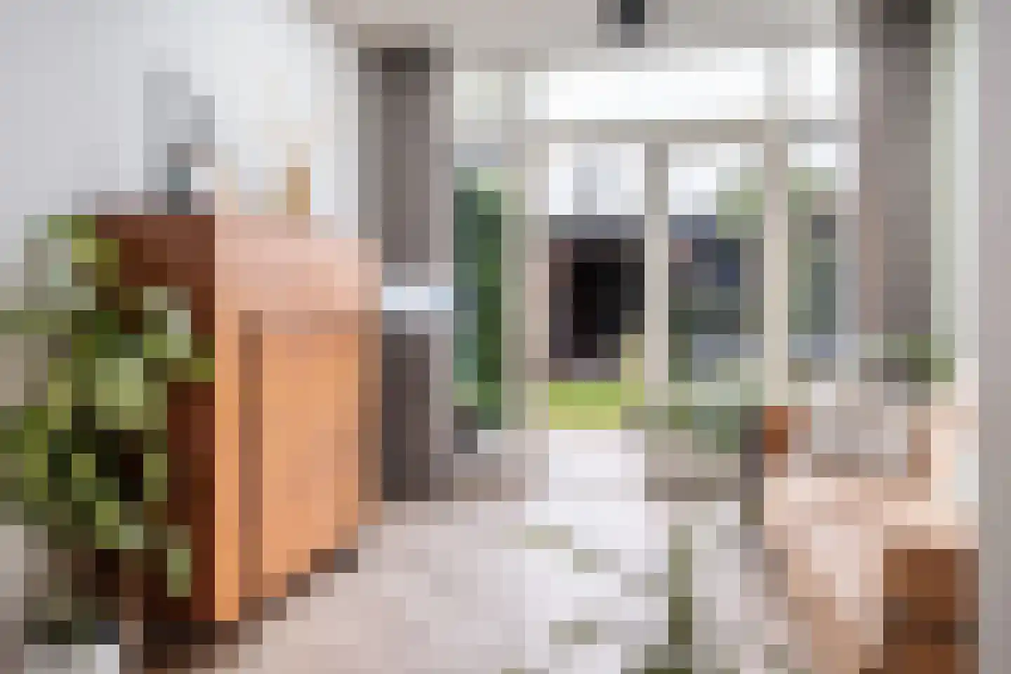 Grote Kerkstraat 108 Hoogeveen thumbnail 20