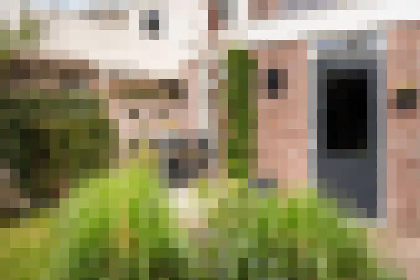 Grote Kerkstraat 108 Hoogeveen thumbnail 39