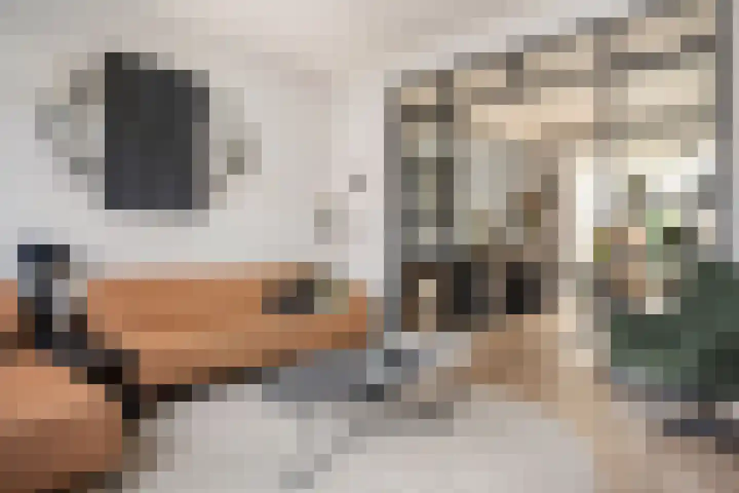 Grote Kerkstraat 108 Hoogeveen thumbnail 8