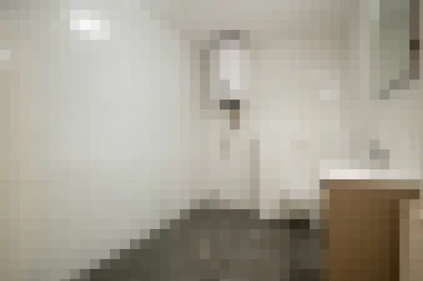 Grote Kerkstraat 11 B Meppel thumbnail 24