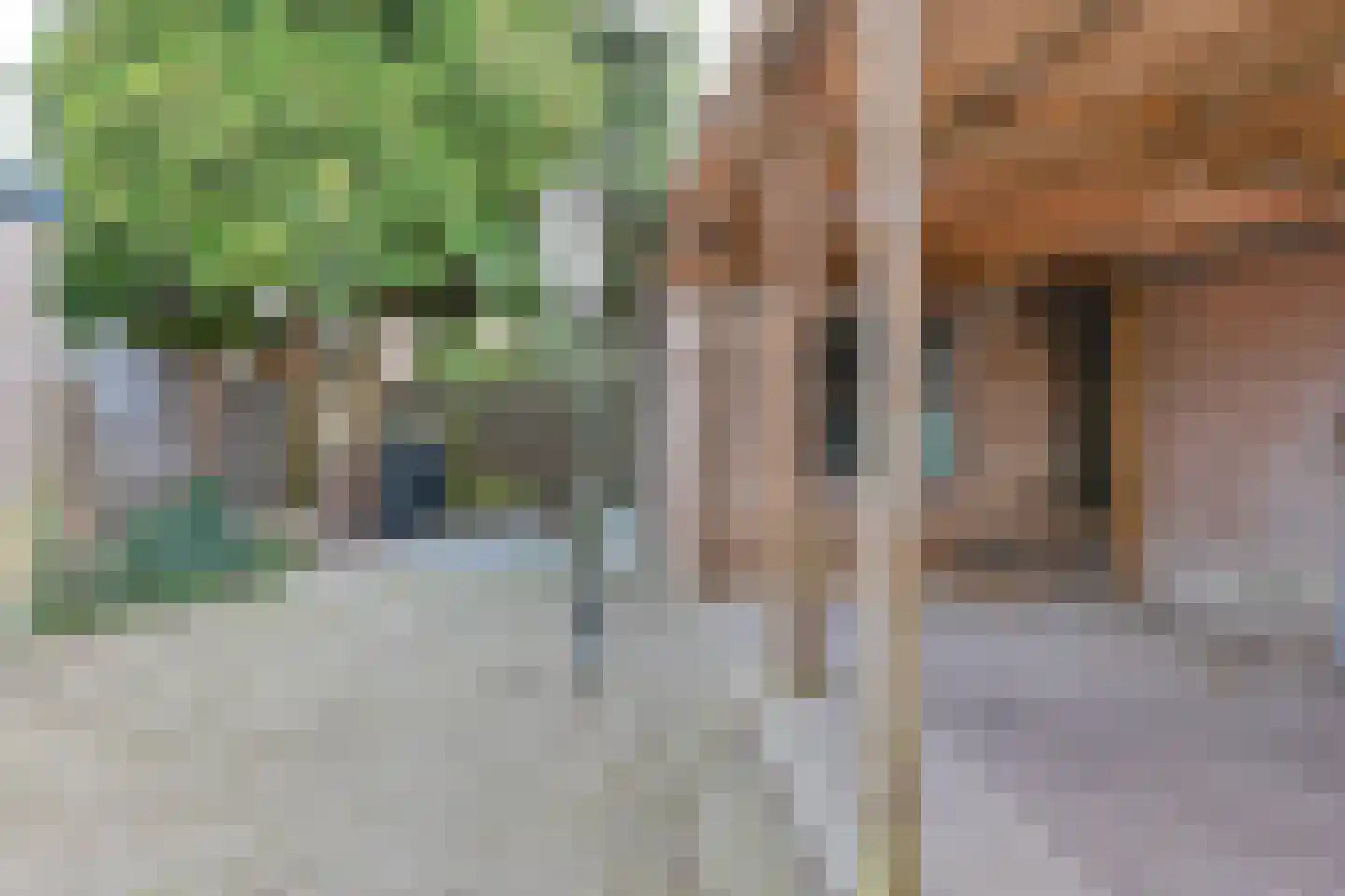 Grote Kerkstraat 116 Hoogeveen thumbnail 44