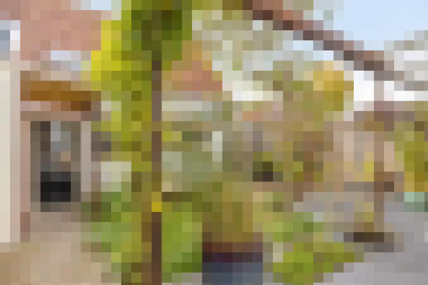 Grote Kerkstraat 13 Edam thumbnail 19