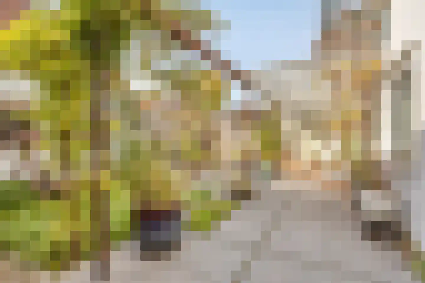 Grote Kerkstraat 13 Edam thumbnail 20