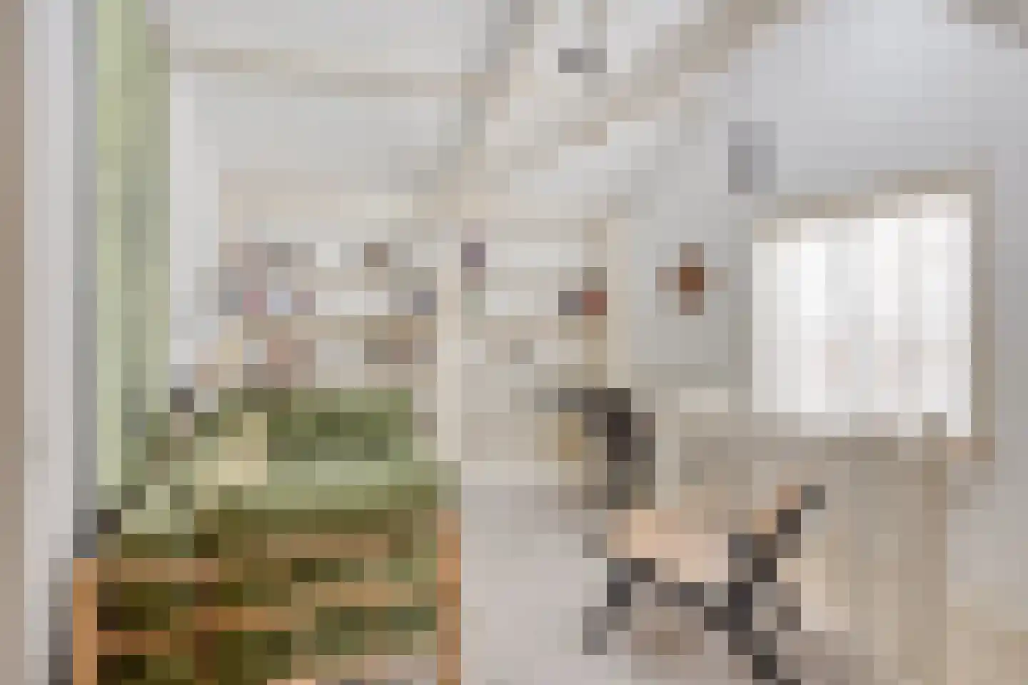 Grote Kerkstraat 13 Edam thumbnail 24