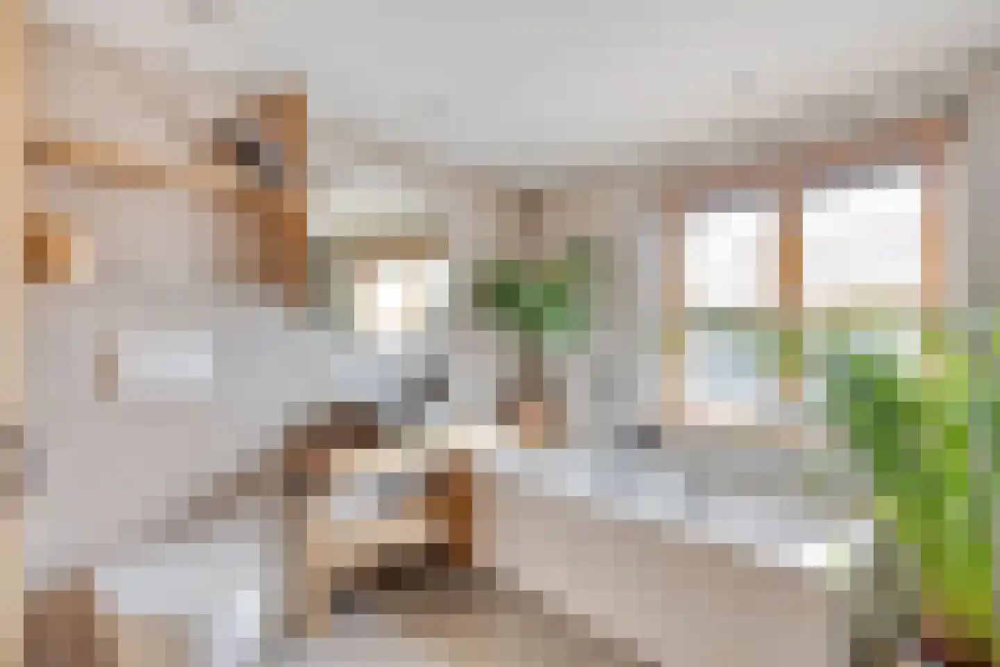 Grote Kerkstraat 13 Edam thumbnail 5