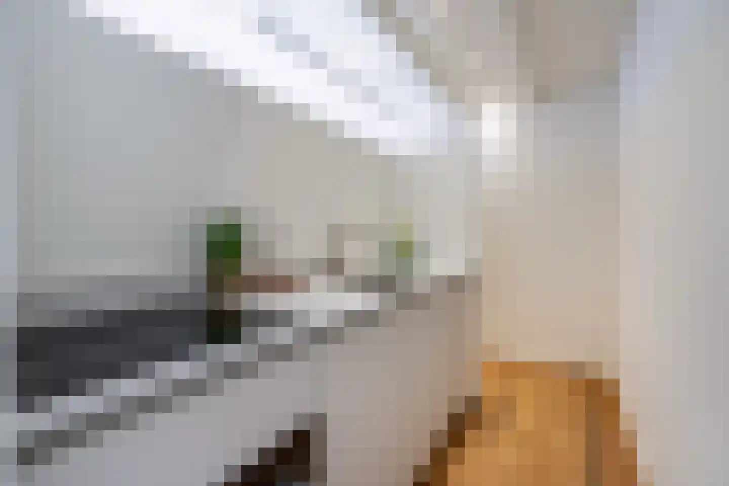 Grote Kerkstraat 15 A Sneek thumbnail 21