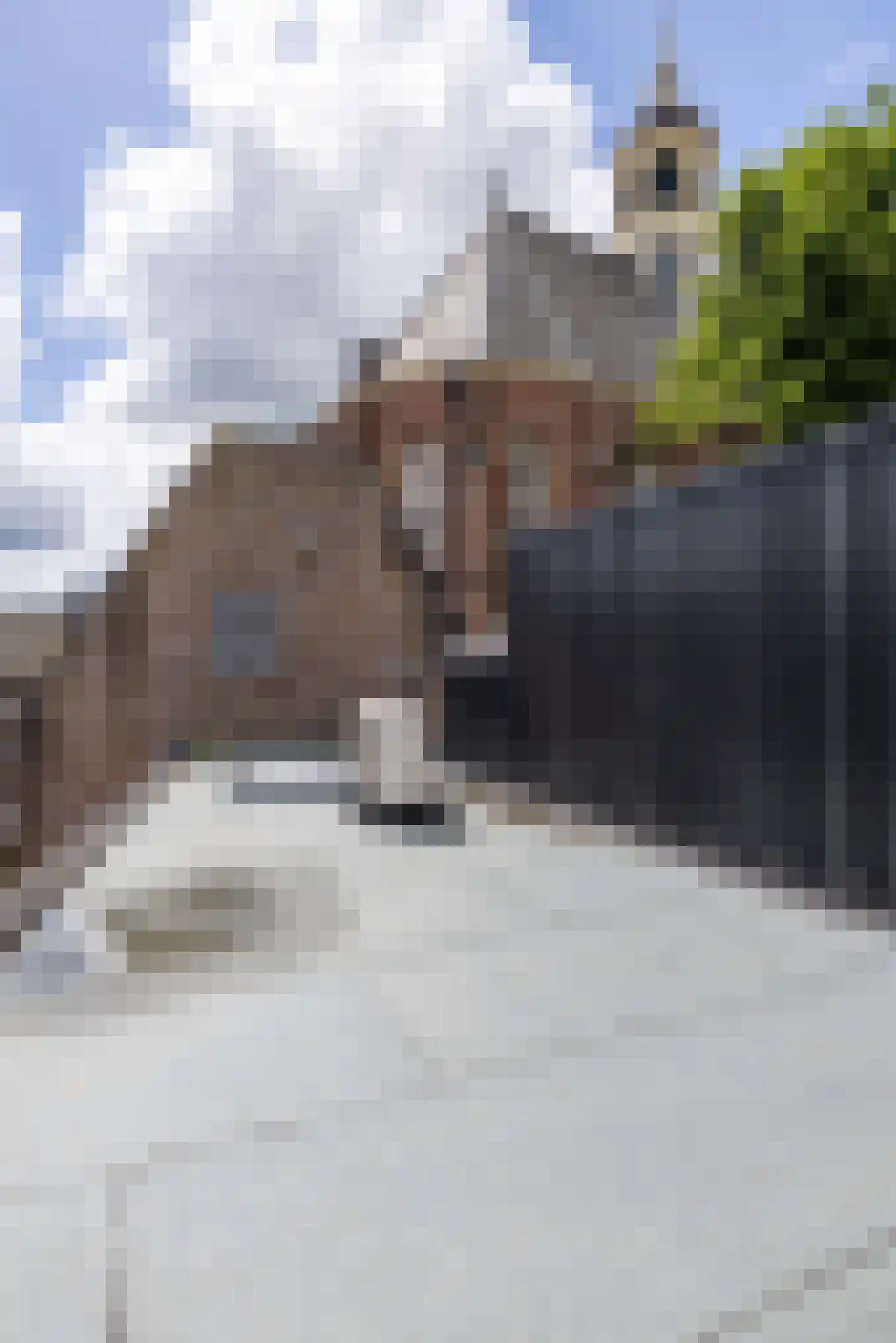 Grote Kerkstraat 15 A Sneek thumbnail 32