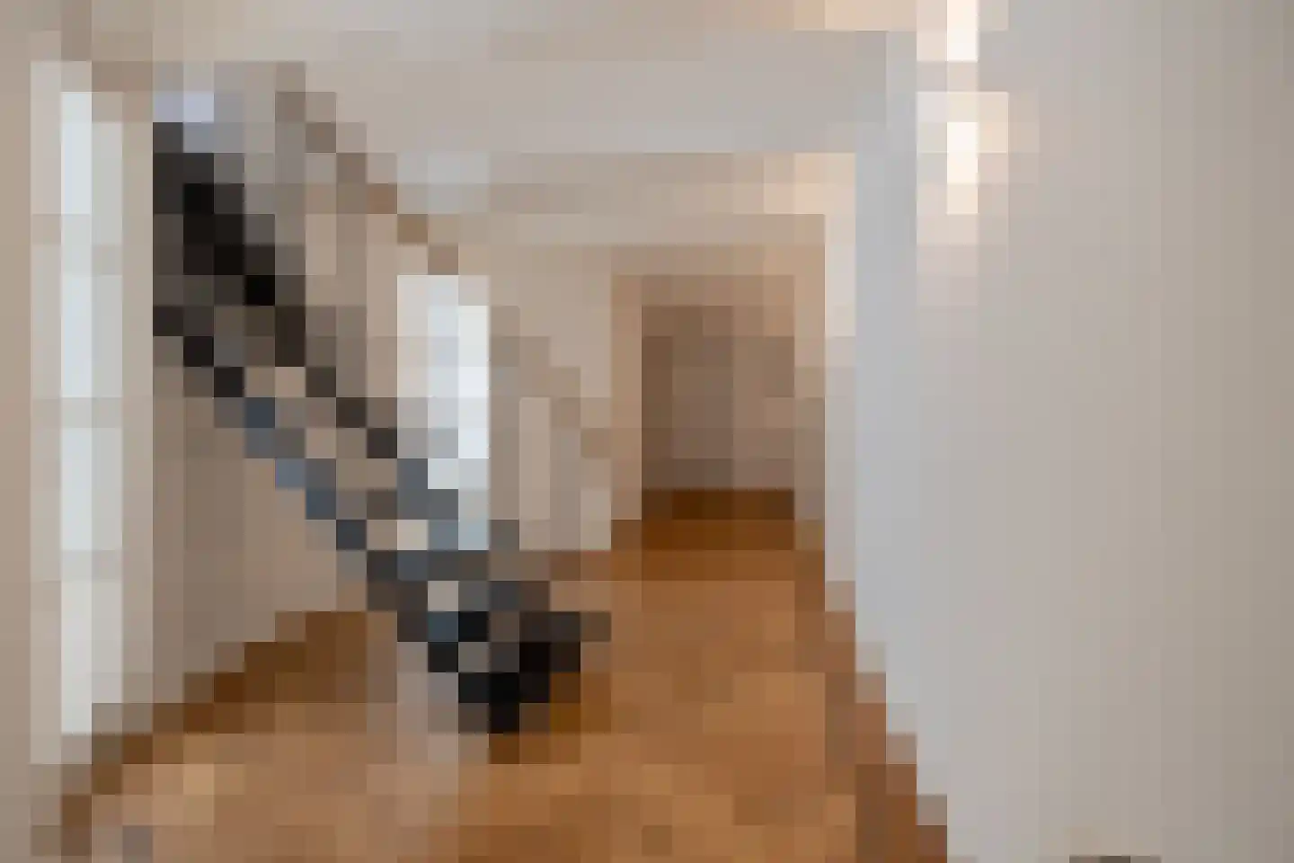 Grote Kerkstraat 15 Sneek thumbnail 17