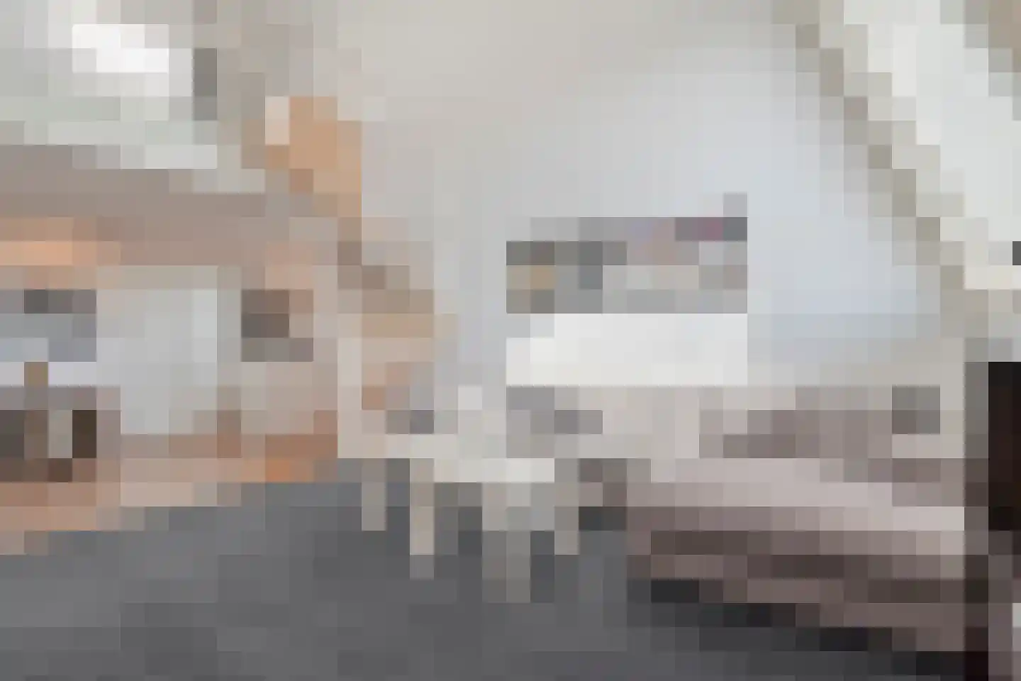 Grote Kerkstraat 17 i Steenbergen thumbnail 13
