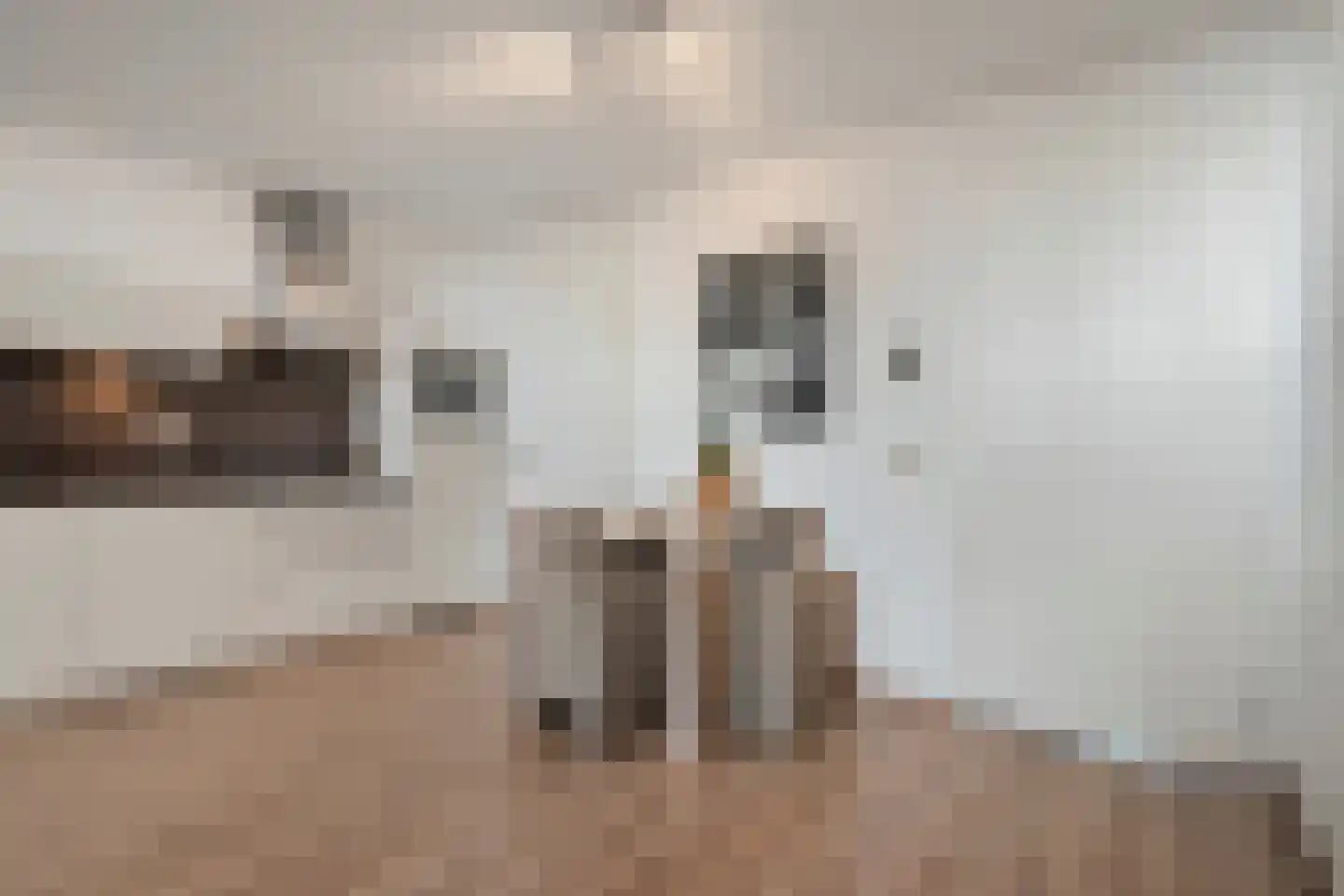 Grote Kerkstraat 17 i Steenbergen thumbnail 18