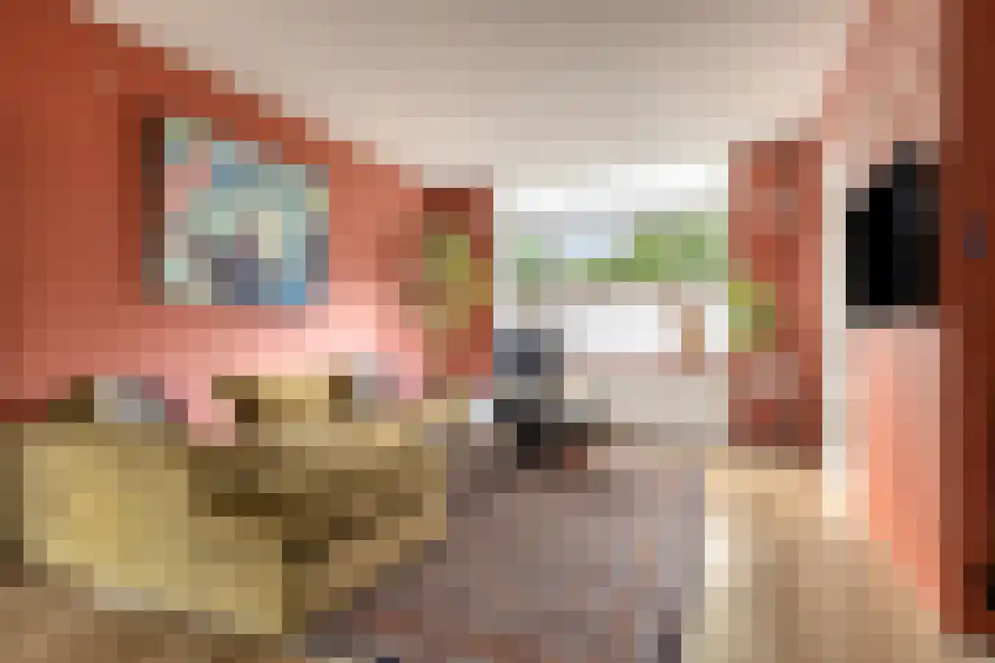 Grote Kerkstraat 2 Edam thumbnail 10