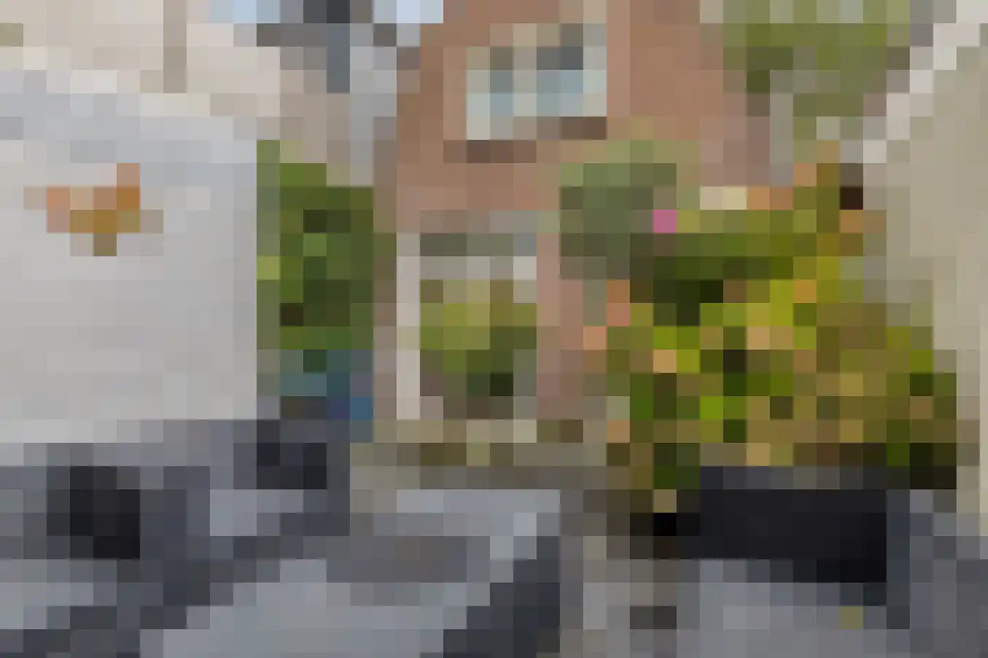 Grote Kerkstraat 2 Edam thumbnail 26