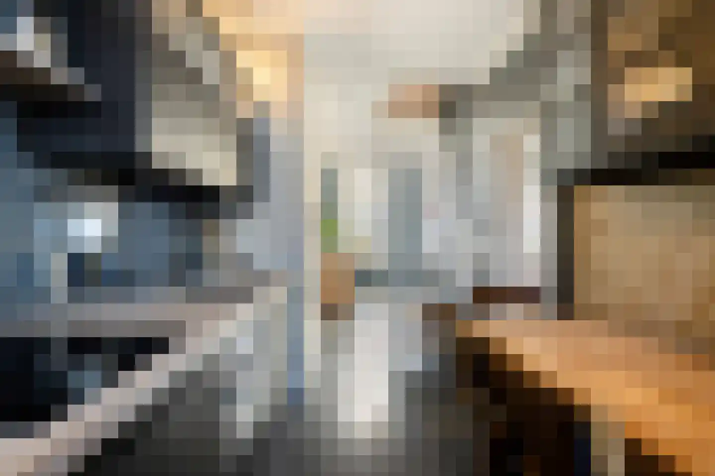 Grote Kerkstraat 25 Steenbergen thumbnail 23