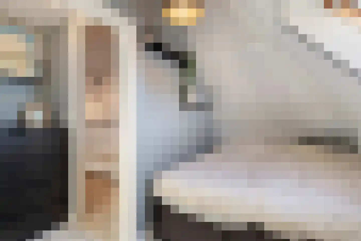 Grote Kerkstraat 25 Steenbergen thumbnail 29