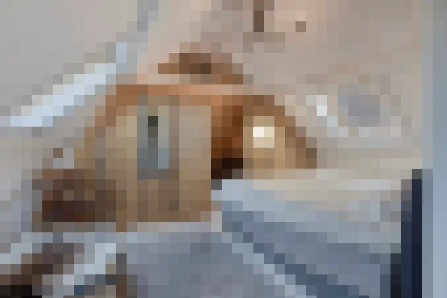 Grote Kerkstraat 25 Steenbergen thumbnail 31