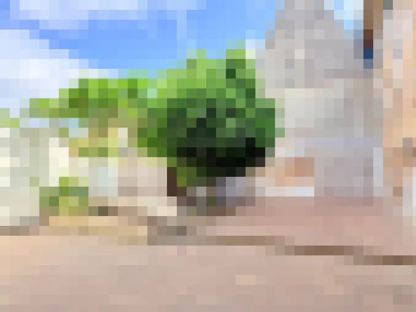 Grote Kerkstraat 31 Harlingen thumbnail 6